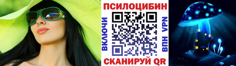 kraken сайт  Ефремов  Псилоцибиновые грибы Psilocybine cubensis 
