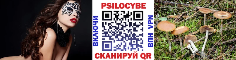 Галлюциногенные грибы прущие грибы Ефремов