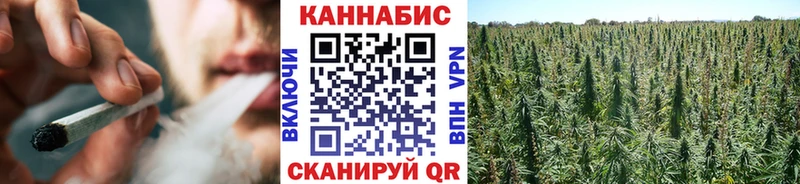 Бошки марихуана Ganja  как найти закладки  Ефремов 
